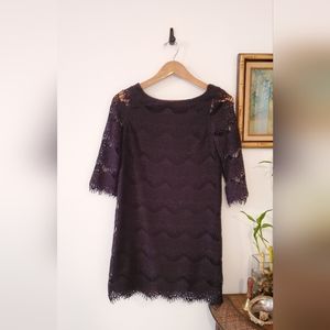 Zara Collection 3/4 sleeve lace dress